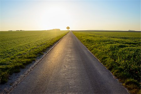 simsearch:600-08232277,k - Road in Countryside with Morning Sun in Spring, Ochsenfurt, Franconia, Bavaria, Germany Stock Photo - Premium Royalty-Free, Code: 600-08865361