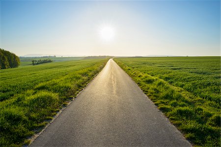 simsearch:600-08232277,k - Road in Countryside with Morning Sun in Spring, Ochsenfurt, Franconia, Bavaria, Germany Stock Photo - Premium Royalty-Free, Code: 600-08865363