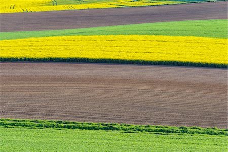 simsearch:600-07519302,k - Countryside with Canola and Grain Field in Spring, Birkenfeld, Franconia, Bavaria, Germany Stock Photo - Premium Royalty-Free, Code: 600-08865404
