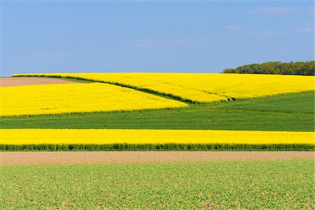 simsearch:600-08232277,k - Countryside with Canola and Grain Fields in Spring, Birkenfeld, Franconia, Bavaria, Germany Stock Photo - Premium Royalty-Free, Code: 600-08865400