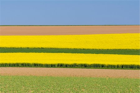 simsearch:600-07519302,k - Countryside with Canola and Grain Fields in Spring, Birkenfeld, Franconia, Bavaria, Germany Stock Photo - Premium Royalty-Free, Code: 600-08865401