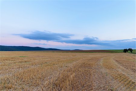 simsearch:600-08169205,k - Harvested cereal grain field at dusk in summer at Roellbach in the Spessart hills in Bavaria, Germany Stock Photo - Premium Royalty-Free, Code: 600-08973331
