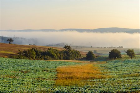 simsearch:600-07945160,k - Countryside with morning mist over the fields in the community of Grossheubach with the Spessart hills in the background in Bavaria, Germany Stock Photo - Premium Royalty-Free, Code: 600-08973355