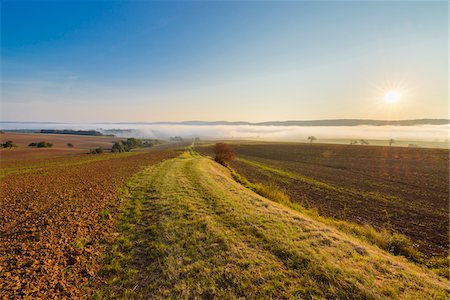 Countryside with pathway and morning mist over the fields at sunrise in the community of Grossheubach in Bavaria, Germany Stock Photo - Premium Royalty-Free, Code: 600-08973352