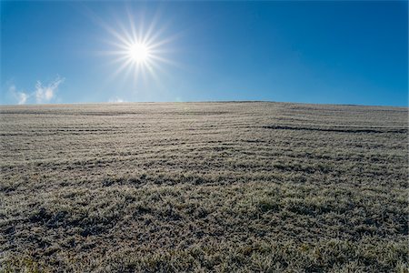 simsearch:600-08945860,k - Meadow in autumn with hoarfrost and sun in the district of Vielbrunn in the Odenwald hills in Hesse, Germany Stock Photo - Premium Royalty-Free, Code: 600-08973384