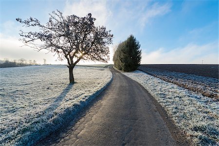 simsearch:600-08973340,k - Field road in countryside in autumn with hoarfrost in the district of Vielbrunn in the Odenwald hills in Hesse, Germany Stock Photo - Premium Royalty-Free, Code: 600-08973381