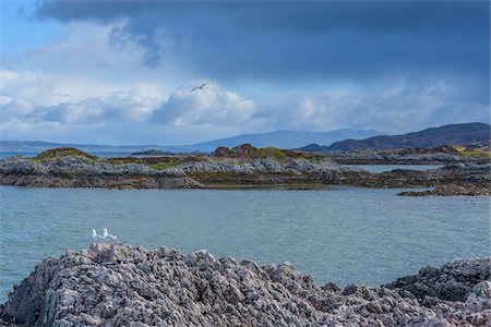simsearch:600-09013796,k - Scottish coast with seagulls and cloudy sky over the ocean at Mallaig in Scotland, United Kingdom Foto de stock - Royalty Free Premium, Número: 600-08973483