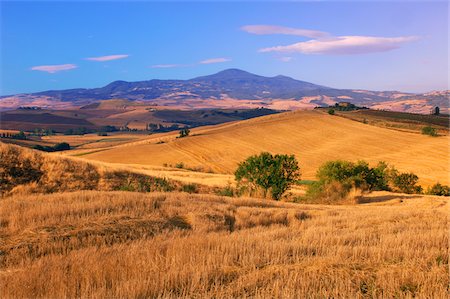 Overview of rural landscape at Val d'Orcia in the Province of Siena in Tuscany, Italy Stock Photo - Premium Royalty-Free, Code: 600-08986165