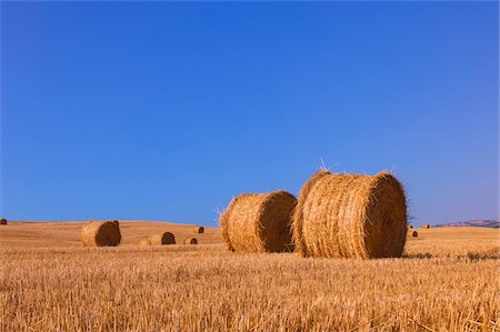 simsearch:6109-07498113,k - Hay Bales in grain field in Val d'Orcia on a sunny day in the Province of Siena in Tuscany, Italy Stock Photo - Premium Royalty-Free, Code: 600-08986166