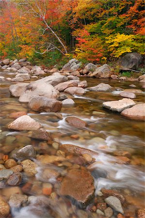 simsearch:700-06465631,k - Swift River with fall foliage from forest in background in White Mountain National Forest in New Hampshire, New England, USA Stock Photo - Premium Royalty-Free, Code: 600-08986187