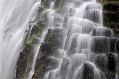 Close-up of the Proxy Falls cascading over basalt columns at Three Sisters Wilderness in Oregon, USA Stock Photo - Premium Royalty-Free, Code: 600-08986183