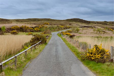 simsearch:649-07560533,k - Road with gorse bushes in springtime at the village of Dunvegan on the Isle of Skye in Scotland, United Kingdom Photographie de stock - Premium Libres de Droits, Code: 600-08986251