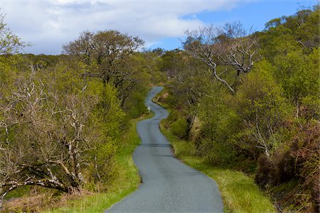 simsearch:600-08916149,k - Winding single track road through the countryside in spring on the Isle of Skye in Scotland, United Kingdom Stock Photo - Premium Royalty-Free, Code: 600-08986284