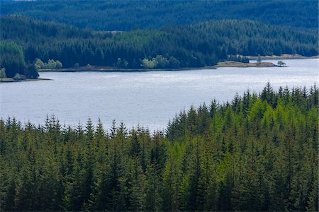 simsearch:649-07560533,k - Overview of a forest and a Scottish loch in springtime in Scotland, United Kingdom Stock Photo - Premium Royalty-Free, Code: 600-08986504