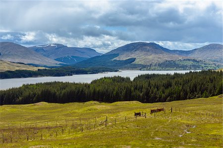 simsearch:649-07560533,k - Scenic landscape of hills and a Scottich loch in springtime in Scotland, United Kingdom Stock Photo - Premium Royalty-Free, Code: 600-08986502