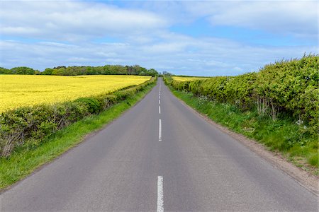 simsearch:6109-07498113,k - Country road and farmland in spring at North Berwick in Scotland Stock Photo - Premium Royalty-Free, Code: 600-09013866