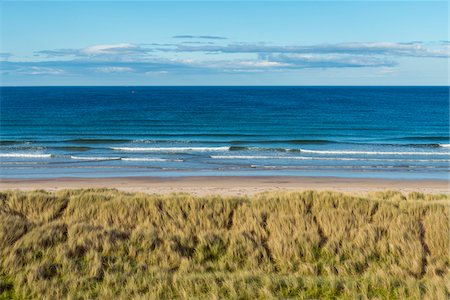dune heath - Grassy sand dunes and beach along the shores of the village of Seahouses at the North Sea in Northumberland, England, United Kingdom Stock Photo - Premium Royalty-Free, Code: 600-09013886