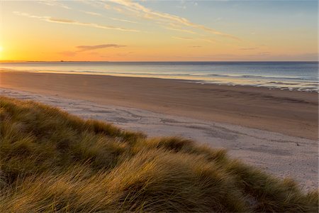 dune heath - Sun reflecting on the dune grass on the beach at sunrise over the North Sea at Bamburgh in Northumberland, England, United Kingdom Stock Photo - Premium Royalty-Free, Code: 600-09013923