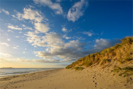 Footprints in the sand along the beach with the North Sea at Bamburgh in Northumberland, England, United Kingdom Stock Photo - Premium Royalty-Free, Code: 600-09013933