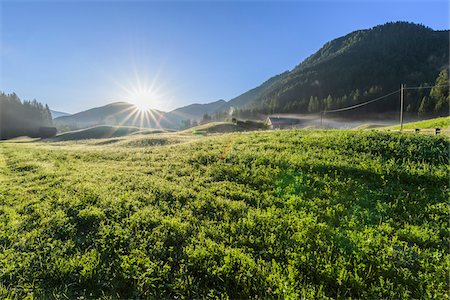 Morning sun shining over a misty meadow in the mountains at Prags Dolomites in Bolzano Province (South Tyrol), Italy Stock Photo - Premium Royalty-Free, Code: 600-09022450