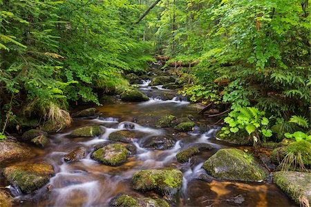 simsearch:600-06553323,k - Mountain stream after rain at Kleine Ohe at Waldhauser in the Bavarian Forest National Park in Bavaria, Germany Stock Photo - Premium Royalty-Free, Code: 600-09022500