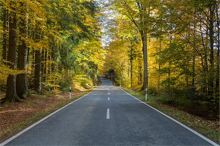 freyung-grafenau - Forest road in autumn at Spiegelau in the Bavarian Forest National Park in Bavaria, Germany Stock Photo - Premium Royalty-Free, Code: 600-09022529