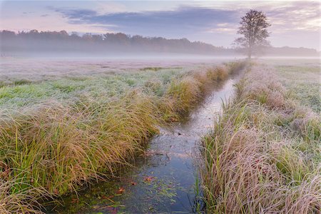 sun rise field - Stream and tree in misty meadow in Autumn at dawn in Hesse, Germany Stock Photo - Premium Royalty-Free, Code: 600-09035319