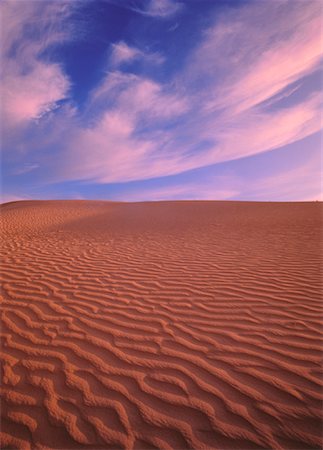 Athabasca Dunes Northern Saskatchewan, Canada Stock Photo - Premium Royalty-Free, Code: 600-00022021