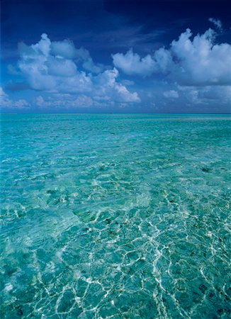 simsearch:600-02886000,k - Ocean and Sky Maldive Islands, Indian Ocean Stock Photo - Premium Royalty-Free, Code: 600-00023919