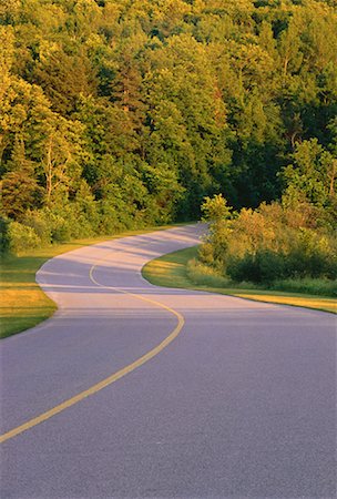 simsearch:600-00172467,k - Road and Trees, Gatineau Parkway, Gatineau Park, Quebec, Canada Stock Photo - Premium Royalty-Free, Code: 600-00048821