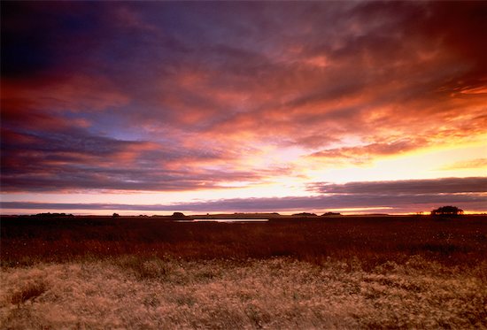 Sunset over Landscape West of Yorkton Saskatchewan, Canada