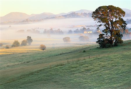 daryl benson landscape - Fog Over Landscape Near Bega, New South Wales Australia Stock Photo - Premium Royalty-Free, Code: 600-00054772