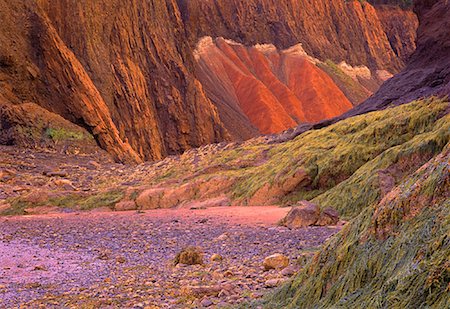 simsearch:600-00062624,k - Minas Basin at Low Tide, Five Islands Provincial Park, Bay of Fundy, Nova Scotia, Canada Stock Photo - Premium Royalty-Free, Code: 600-00059323