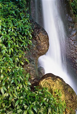 simsearch:600-03446089,k - Close-Up of Waterfall, Rocks And Plants, Misol-Ha, Chiapas, Mexico Foto de stock - Sin royalties Premium, Código: 600-00059622