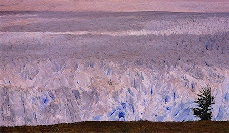 perito moreno glacier - Overview of Perito Moreno Glacier, Los Glaciares National Park, Patagonia, Argentina Stock Photo - Premium Royalty-Free, Code: 600-00060393
