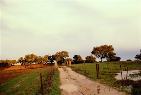 simsearch:600-02659595,k - Dirt Road with Puddles through Field with Fence, Portugal Stock Photo - Premium Royalty-Free, Code: 600-00062871
