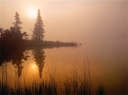 silo alberta - Foggy Sunrise, Talbot Lake, Jasper National Park, Alberta, Canada Stock Photo - Premium Royalty-Free, Code: 600-00174036