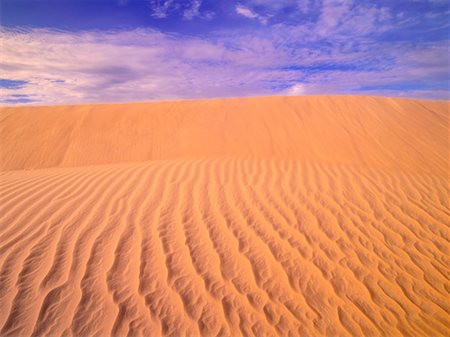 Athabasca Dunes, Northern Saskatchewan, Canada Stock Photo - Premium Royalty-Free, Code: 600-00176217