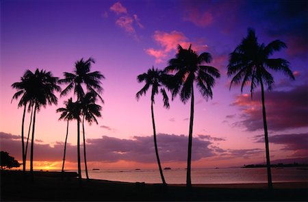 simsearch:600-00176667,k - Palm Trees at Sunset, Honolulu, Hawaii, USA Stock Photo - Premium Royalty-Free, Code: 600-00176650