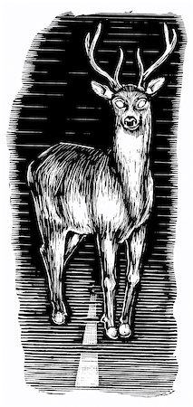simsearch:600-00177062,k - Illustration of Deer in Headlights Stock Photo - Premium Royalty-Free, Code: 600-00177070