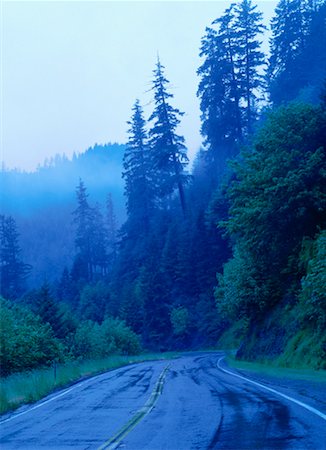 simsearch:600-00171088,k - Wet Forest Road, Oregon, USA Stock Photo - Premium Royalty-Free, Code: 600-00170951