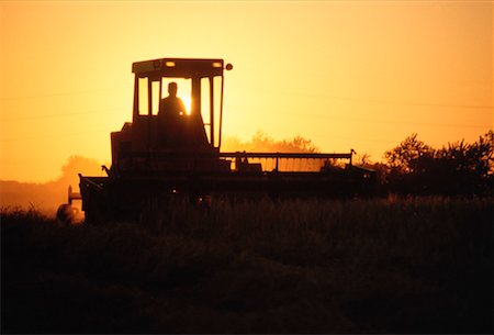 silo alberta - Tractor Cutting Hay at Sunset, Alberta, Canada Stock Photo - Premium Royalty-Free, Code: 600-00172384