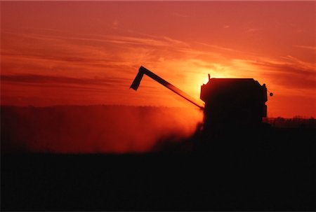 simsearch:600-00013556,k - Combine Harvester at Sunset Stock Photo - Premium Royalty-Free, Code: 600-00172382