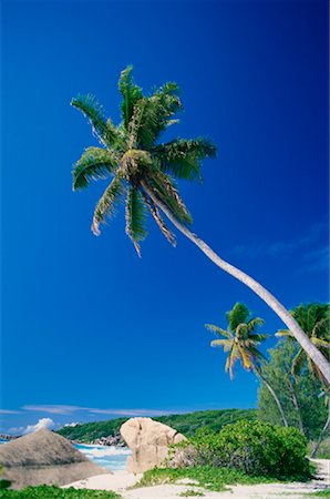 simsearch:851-02962651,k - Grand Anse, La Digue, Seychelles Stock Photo - Premium Royalty-Free, Code: 600-00172506