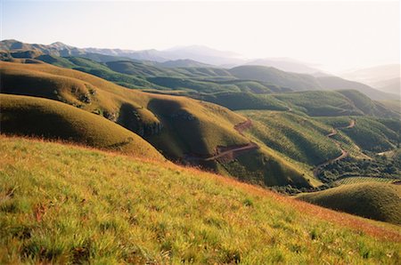 simsearch:600-00172467,k - Silviculture, Long Tom Pass, Drakensberg, South Africa Stock Photo - Premium Royalty-Free, Code: 600-00172516