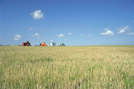 saskatchewan farmland - Grain Elevators, Wheat Field, Saskatchewan, Canada Stock Photo - Premium Royalty-Free, Code: 600-00173209