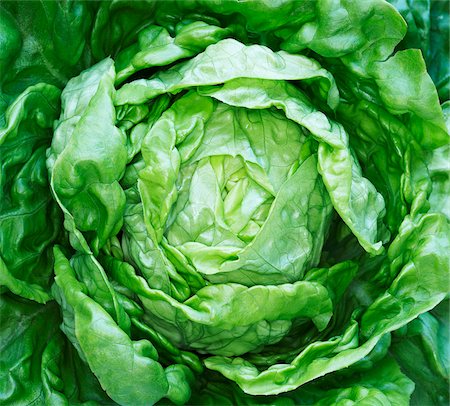 Close-Up of Lettuce Stock Photo - Premium Royalty-Free, Code: 600-00608272