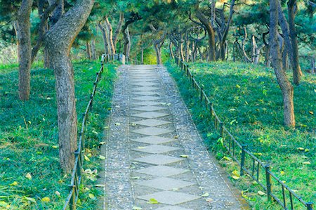 Footpath Through Pine Forest, Purple Bamboo Park, Beijing, China Stock Photo - Premium Royalty-Free, Code: 600-00796055