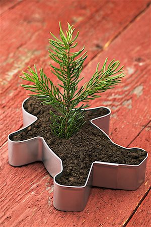 simsearch:600-02217145,k - Seedling in Cookie Cutter Stock Photo - Premium Royalty-Free, Code: 600-00866720