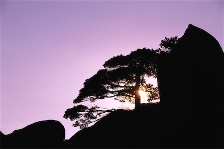 simsearch:700-02669459,k - Mount Huangshan, Anhui Province, China Stock Photo - Premium Royalty-Free, Code: 600-00911003